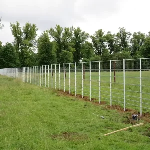 Metal Bar Welded Estate Fence for Residential, Garden and Parkland Barrier Use