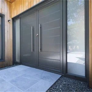 Metal Doors for Houses with Doors Designs Swing Door
