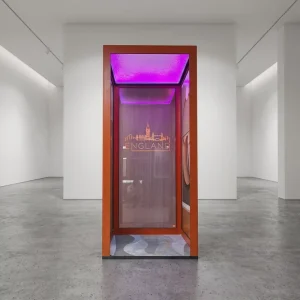 Metal Matte Panel Elevator Car for Villa Apartment
