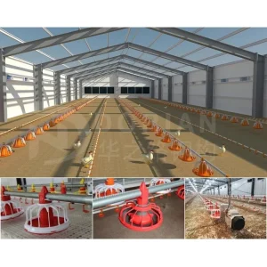 Modern Clear Span House Metal Building Design Steel Chicken Coops Australia for 5000 Chickens Plans