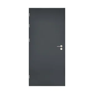 Modern Minimalist Anti Theft Steel Entry Security Door Customized Colors Finished Surface Durable Construction 5 Year