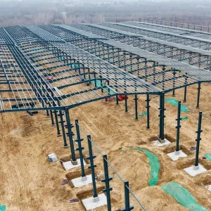 Modular Steel Structure System for Exhibition Hall and Convention Center Builds