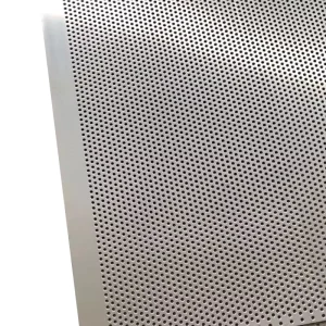 Perforated Metal Mesh Sheet Mild Steel Perforated Metal Sheet SS304 316L Micro Perforated Metal Sheet