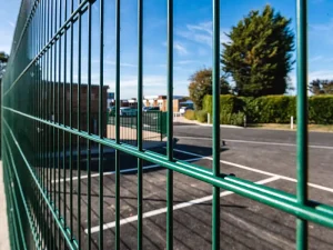 Powder Coated 868 Double Wire Fence Panels Rustproof Twin Wire 2D Mesh Fence Garden Yard Farm School Perimeter