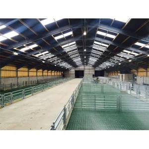 Prefabricated Light Steel Structure Building