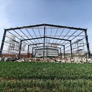 Prefabricated Steel Modular Building System High Strength Custom Industrial Workshops Schools Villas Hotels Hospitals Sports