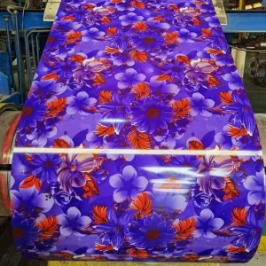 RAL 5005 Signal Blue PPGI Prepainted Galvanized Steel Coil for Distribution Center and Logistics Warehouse Use