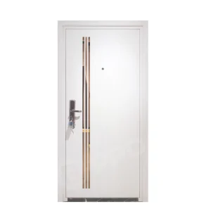 Special Designed Steel Doors Modern High-grade Main Entrance Doors Waterproof Metal Doors for Home