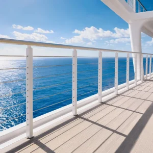 Stainless Steel 304 316 Balustrades Handrails for Balcony Terrace Stair Railing Use China Factory