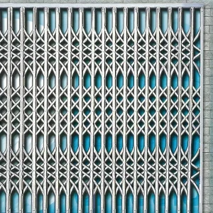 Stainless Steel Sliding Door Security Gate