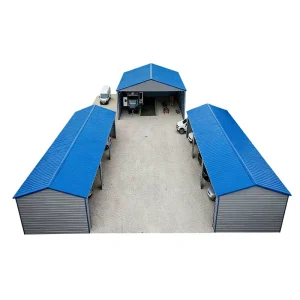 Wind Resistant HDG Q235 Q355 Steel Galvanized Steel Structure Metal Frame Carport Garage