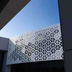 Textured Metal Wall Cladding Panels for Building Materials and Wall Decoration